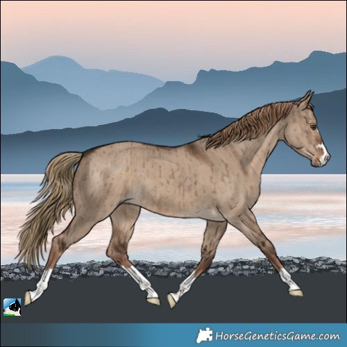 Horse Color:Liver Red Dun Brindle