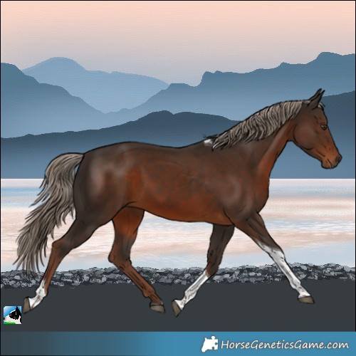 Horse Color:Liver Chestnut Tobiano Rabicano