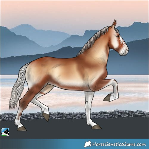 Horse Color:Silver Bay Onyx