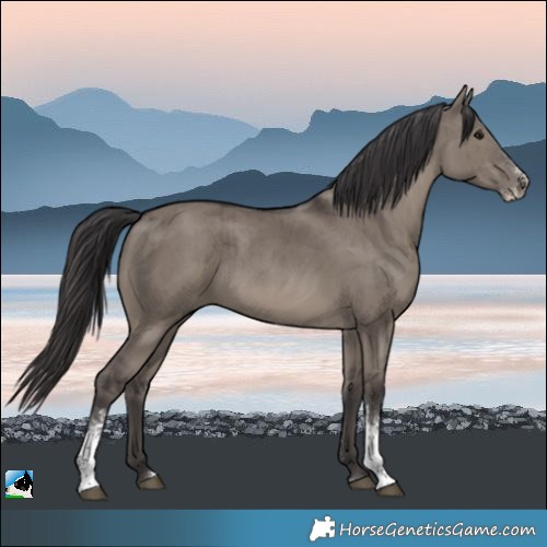 Horse Color:Smoky Grullo Sabino Brindle 