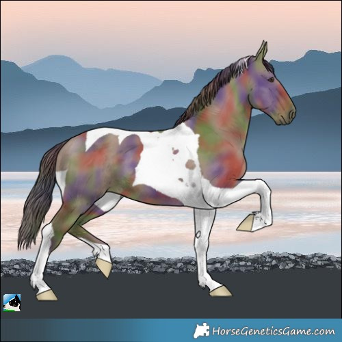 Horse Color:Nacre Liver Red Dun Tobiano