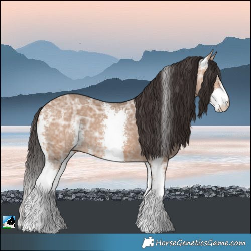 Horse Color:Bay Ice Dun Sabino