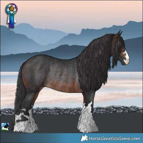 Horse Color:Brown Rabicano