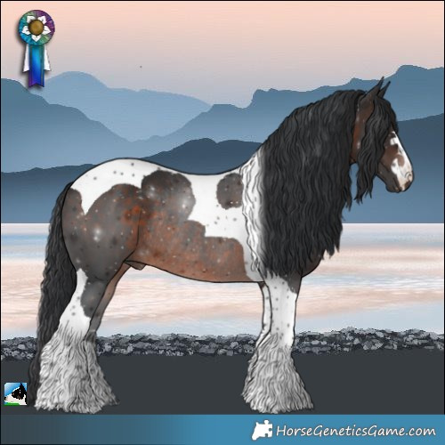 Horse Color:Brown Tobiano Rabicano 