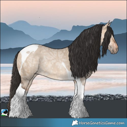 Horse Color:Bay Ice Dun Tobiano Rabicano
