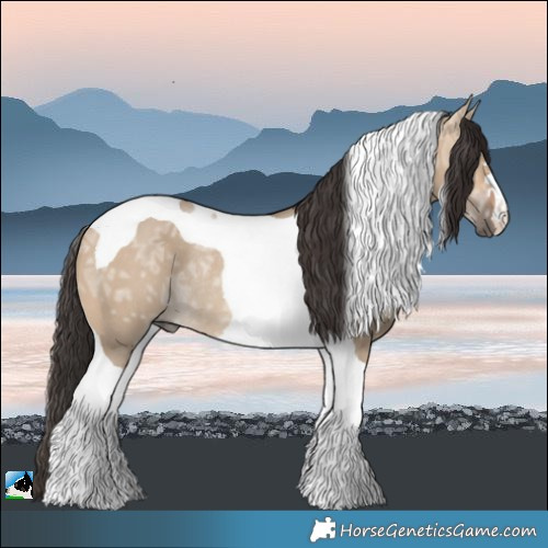 Horse Color:Bay Ice Dun Tobiano Rabicano