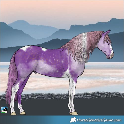 Horse Color:Watercolor Liver Chestnut Tobiano Rabicano