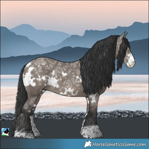 Horse Color:White Spotted Grullo Ice Sabino Brindle