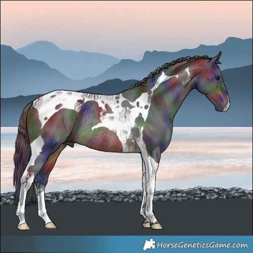 Horse Color:Nacre Brown Tobiano Rabicano 