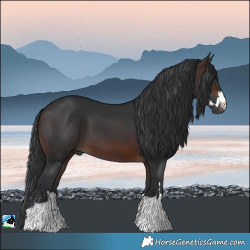Horse Color:Brown 
