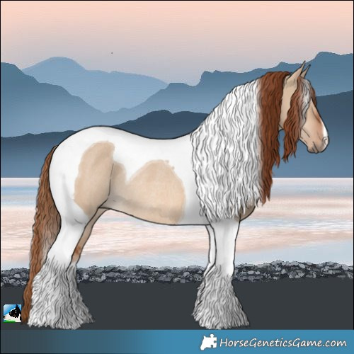 Horse Color:Red Dun Tobiano Rabicano 