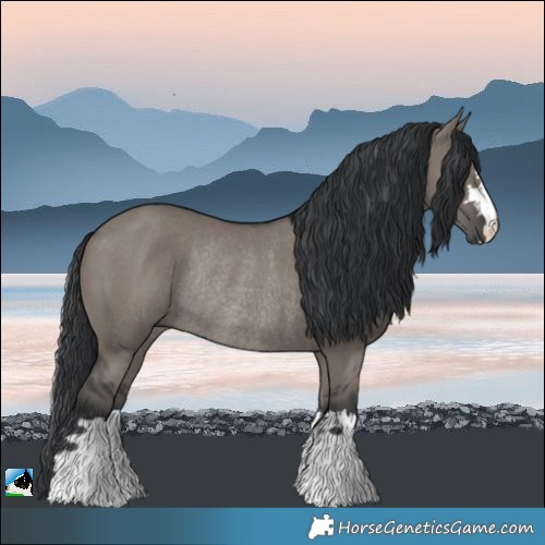 Horse Color:Grullo Rabicano 