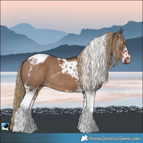 Horse Color:Liver Red Dun Sabino Tobiano