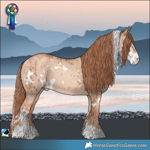 Horse Color:White Spotted Gold Champagne Dun Sabino Brindle 