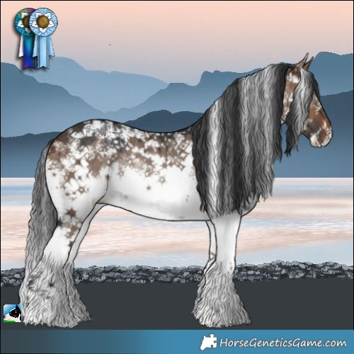 Horse Color:Brown Dun Sabino Rabicano Brindle