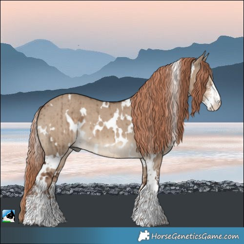 Horse Color:White Spotted Liver Red Dun Sabino Brindle 