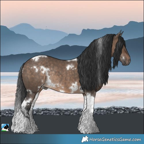 Horse Color:White Spotted Brown Dun Tobiano Rabicano 