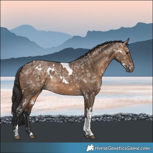 Horse Color:White Spotted Brown Ice Dun Tobiano Brindle 