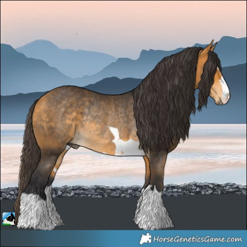 Horse Color:Buckskin Rabicano 