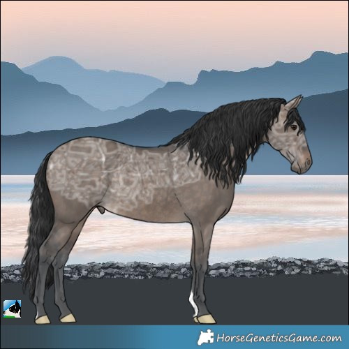Horse Color:Brown Ice Dun Rabicano 