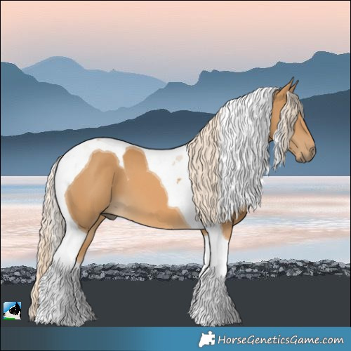 Horse Color:Palomino Tobiano 
