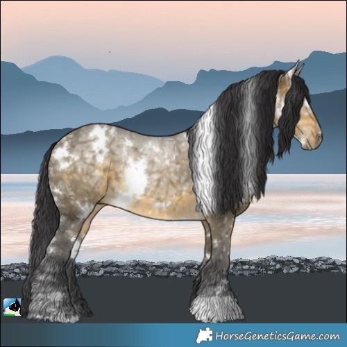 Horse Color:White Spotted Buckskin Ice Dun