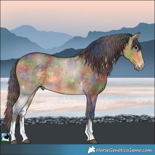 Horse Color:Nacre Buckskin Dun Sabino Tobiano Rabicano 