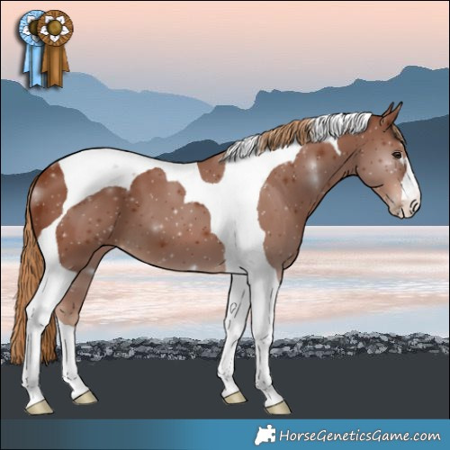 Horse Color:Chestnut Tobiano 