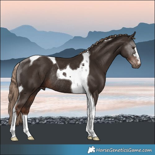 Horse Color:Liver Chestnut Tobiano Rabicano 