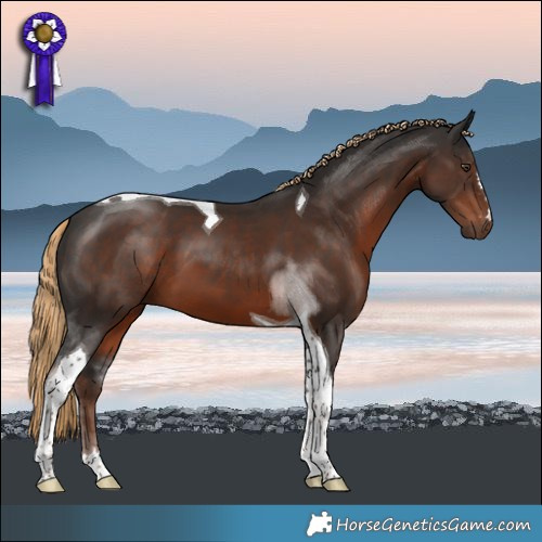 Horse Color:Liver Chestnut Tobiano 