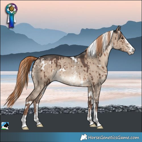 Horse Color:White Spotted Liver Red Dun Sabino Brindle 