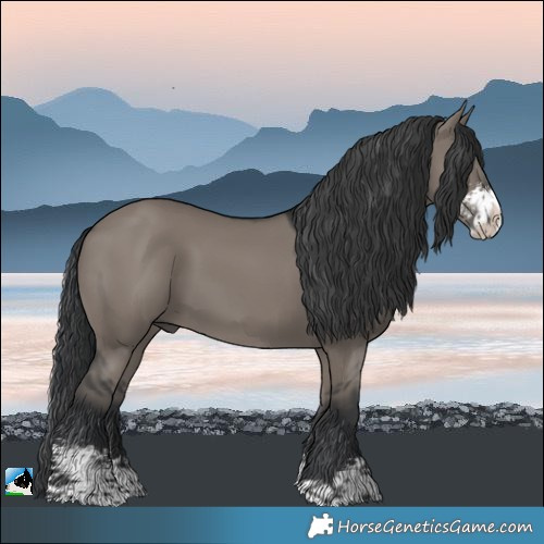Horse Color:Grullo Sabino