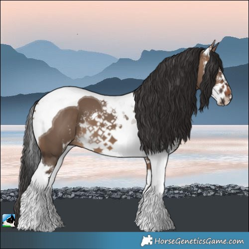 Horse Color:Brown Dun Sabino Tobiano