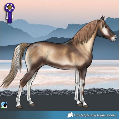 Horse Color:Liver Red Onyx Tobiano Rabicano 