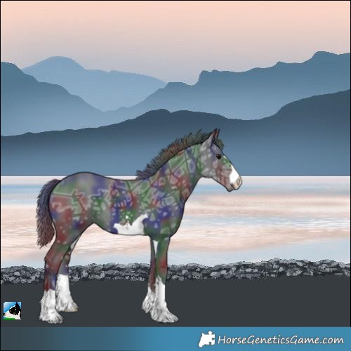 Horse Color:Nacre Black Ice 