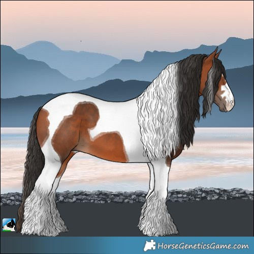 Horse Color:Bay Tobiano