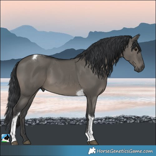 Horse Color:Grullo Tobiano 