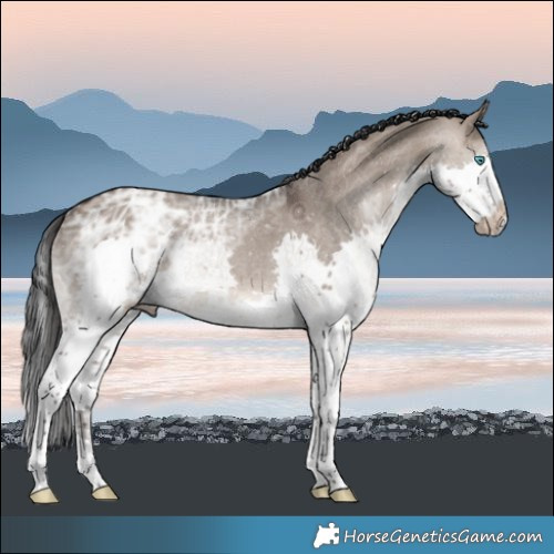 Horse Color:Brown Ice Dun Splash 