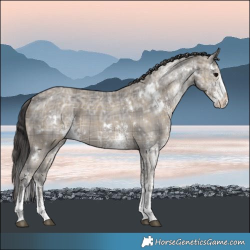 Horse Color:Plaid White Spotted Smoky Grullo Ice