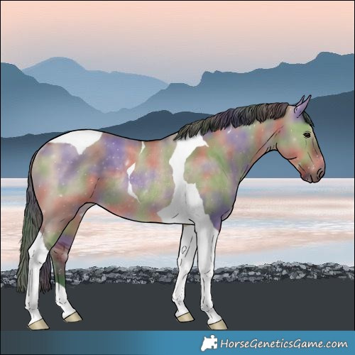 Horse Color:Nacre Brown Dun Tobiano Rabicano