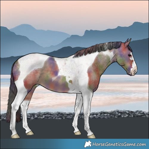 Horse Color:Nacre Brown Dun Tobiano