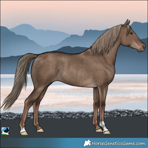Horse Color:Liver Red Dun Rabicano 