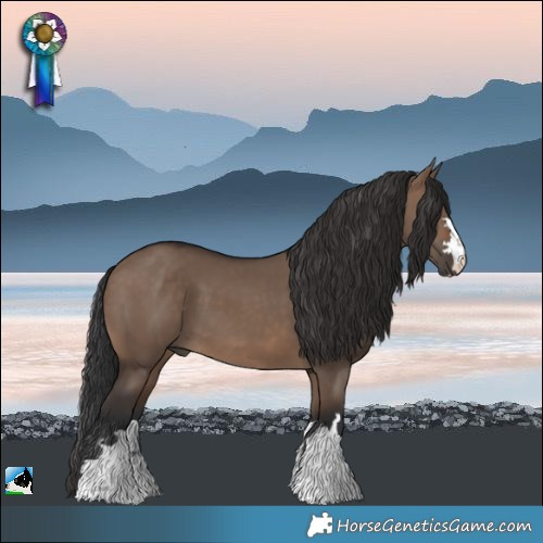 Horse Color:Brown Dun