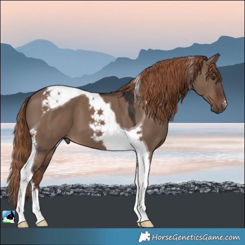 Horse Color:Liver Red Dun Tobiano 