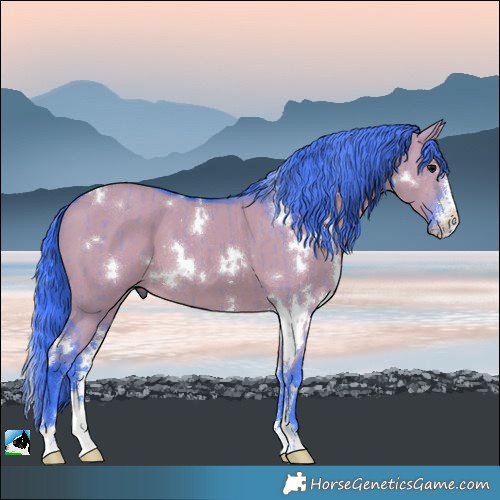 Horse Color:Watercolor White Spotted Grullo Sabino Brindle 