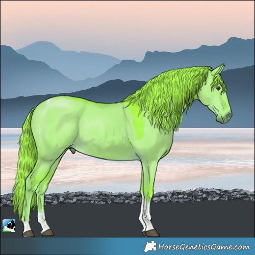 Horse Color:Watercolor Liver Red Dun Tobiano 