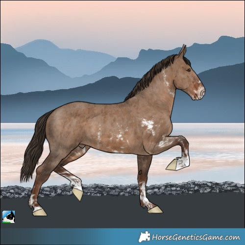 Horse Color:Liver Red Dun Sabino Brindle