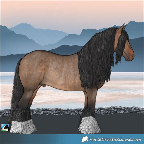 Horse Color:Brown Dun Rabicano Brindle
