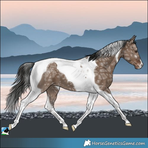 Horse Color:Liver Red Dun Ice Tobiano Varnish 