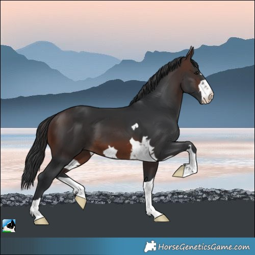 Horse Color:Brown 
